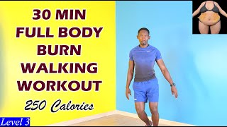 30Minute FULL BODY BURN Walking Workout at Home No Equipment [upl. by Felix]