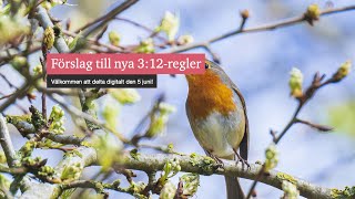 Förslag till nya 312regler [upl. by Babita]