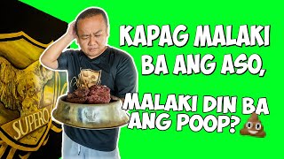 KAPAG MALAKI BA ANG ASO MALAKI DIN ANG POOP  POOP NI DILIM THE ALABAI [upl. by Apollus]