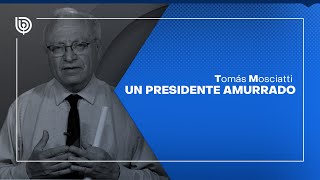 Comentario de Tomás Mosciatti Un presidente amurrado [upl. by Hareehahs]