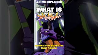 WHAT IS Neon Genesis Evangelion  Anime Explained For Everyone [upl. by Jenda]