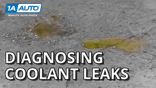 Found Puddles Under Your Car or Truck How to Diagnose Coolant Leaks [upl. by Sherrie711]