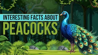 Amazing Facts About Peacock  Peacock Facts for Kids  Peacock Facts [upl. by Eidob]