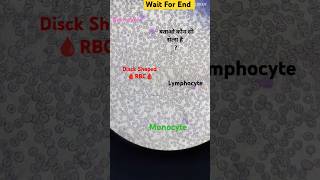 Me be Eosinophils 🧐🧐 Comments labtechinicians shortvideo [upl. by Nivat]