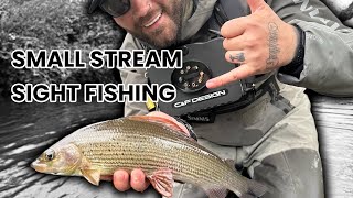 Grayling Wild Trout And a Snake 🐍 Euro Nymphing a Small Stream [upl. by Yob]