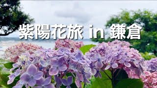 【プチVlog】紫陽花を見に鎌倉へ行った日（ただし1年前） [upl. by Winchell]