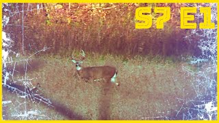 Illinois Deer Hunting 2024  Season 7 Episode 1  Sweet November [upl. by Nonac327]