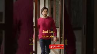 Teri Chhaon Mein  Promo  2nd Last Ep 26 promo Review Story 2nd Last Episode [upl. by Nordek]