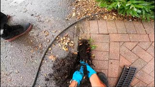 8ft Drain Snake Caught Bare Handed amp The Binmen CRASH Into ME [upl. by Antoine411]