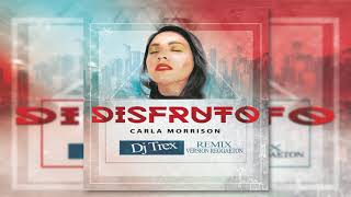 Carla Morrison  Disfruto Remix  Versión Reggaetón  Unofficial Audio [upl. by Eitsyrc157]