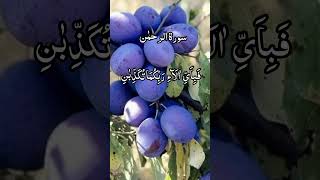 Surat Ul Rahman tilawatequran holyquran recitation viral qirat beautiful friends shots sho [upl. by Winer959]