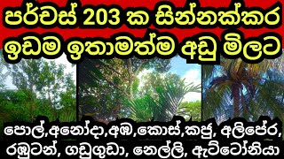 පර්චස් 203 ක සින්නක්කර ඉඩම පට්ටම අඩුවට  Land for sale  Agriculture land  Aduwata idam  Land sale [upl. by Hagar]