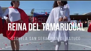 Reina del Tamarugal Escuela San Sebastián de Batuco [upl. by Etnomaj]