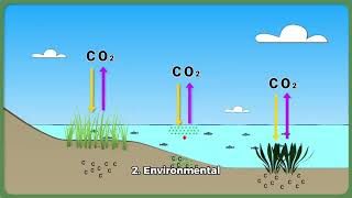 Nuclear chemistry commercial project [upl. by Issac679]