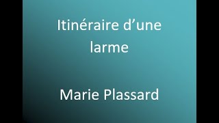 Itinéraire dune larme  Marie Plassard cover avec parole [upl. by Alexei]