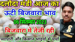 दलौदा मंडी ऊटी बिजवारा का भाव 6 सितंबर 2023 ooty bijvara ka bhav ooty biju garlic rate daloda [upl. by Yentruok894]