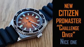 Citizen quotPromasterquot diver NY0120 automatic watch review citizen citizenwatch gedmislaguna [upl. by Wilen]