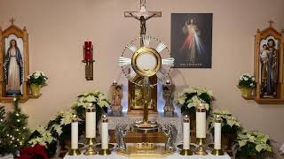 LIVE Eucharistic Adoration  Sisters of Divine Mercy [upl. by Anitreb]