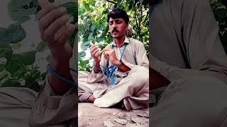 میرا خال برا ہے 💔💔😭sad indian song viral video2024 [upl. by Arbmat]