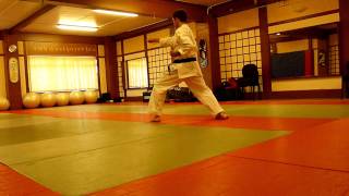 Shotokan Karate 3rd Dan syllabus Version 2 [upl. by Eadrahs]