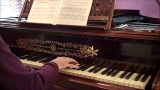 1866 CONCERT GRAND PIANO BY JB STREICHER Vienna  sold [upl. by Ignatz]