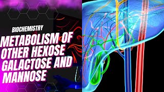Metabolism of other hexose galactose and mannose [upl. by Monarski489]