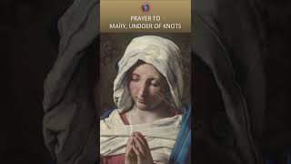 Prayer to Mary Undoer of Knots by Pope Francis shorts [upl. by Godiva875]