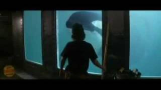 Free Willy SoundTrack  Micheal Jackson  will you be there [upl. by Dichy164]