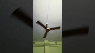 Bearing sound problems polar ceiling fan [upl. by Gretchen]