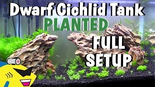 DWARF CICHLID PLANTED AQUARIUM SETUP [upl. by Ethban725]