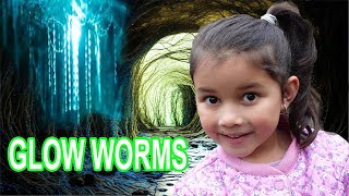 The Glow Worm Tunnel With Zoe [upl. by Riggall62]