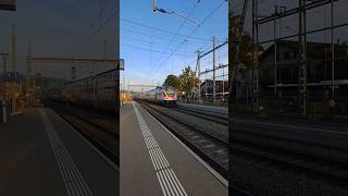 Switzerland Train In Action At Sempach Station publictransport trainspotting switzerland [upl. by Darryn]