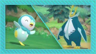 LIVE Shiny Piplup after 3511 resets in Brilliant Diamond  1 uncatchable Starly [upl. by Sheeree]