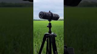 Telephoto lens photography dslr telephotolens smartphone [upl. by Phillip]