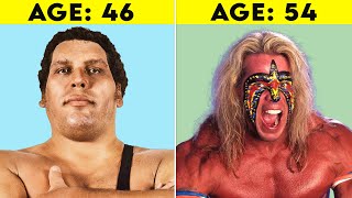 200 WWE Wrestlers Who Passed Away [upl. by Canon]