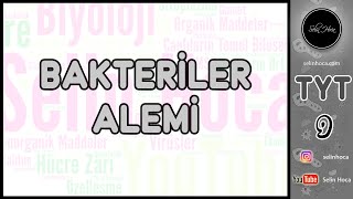 21 Bakteriler Alemi [upl. by Holt555]