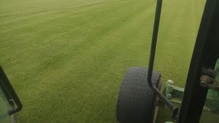 Zoysia Grass Installed zoysia sod farming lawncare landscape foryou [upl. by Eintruoc]