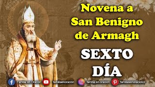 Novena a San Benigno de Armagh  Día 6 🙏 5 de Noviembre 2024 [upl. by Adahsar]