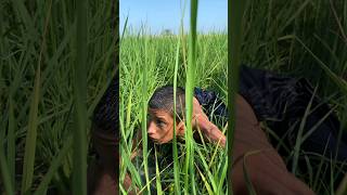 Allah ne jan bacha li india islamicvideo vairalvideo shorts emotional usa foryou [upl. by Kurt]