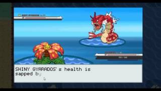 Shiny Gyarados in PokeMMO [upl. by Littlejohn274]