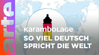 Die deutsche Sprache in der Welt  Karambolage ARTE [upl. by Meda]