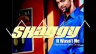 SEA PAUL FT SHAGGY FT 50 CENT 2010wmv [upl. by Nylekoorb]