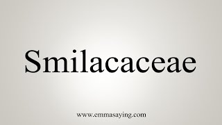 How To Say Smilacaceae [upl. by Woodhouse]