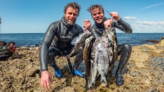 EPIC Shore dive spearfishing in England  Catch amp Cook Pollack Gravlax [upl. by Leivad104]