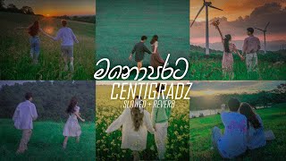 Centigradz old Best Songs Slowed  Reverb Collection Manoparakata  DEZTER BEATS [upl. by Abisia369]