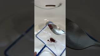 Feeding Live Bloodworms to my Fish🪱 shorts [upl. by Atokad22]