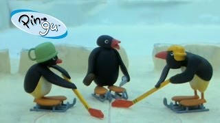 Pingu Pingu Plays Hockey [upl. by Auginahs63]