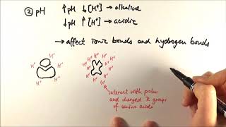 AS Biology  Factors affecting enzyme activity OCR A Chapter 42 [upl. by Eidnew773]