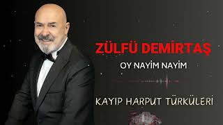 Zülfü Demirtaş  Oy Nayim Nayim  Kayıp Harput Türküleri [upl. by Anthia]