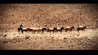 Trashumantes de la Cordillera de los Andes [upl. by Jameson469]